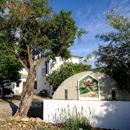 مبيت وإفطار بييغو ذي كورذوبا Casa Olea المظهر الخارجي الصورة