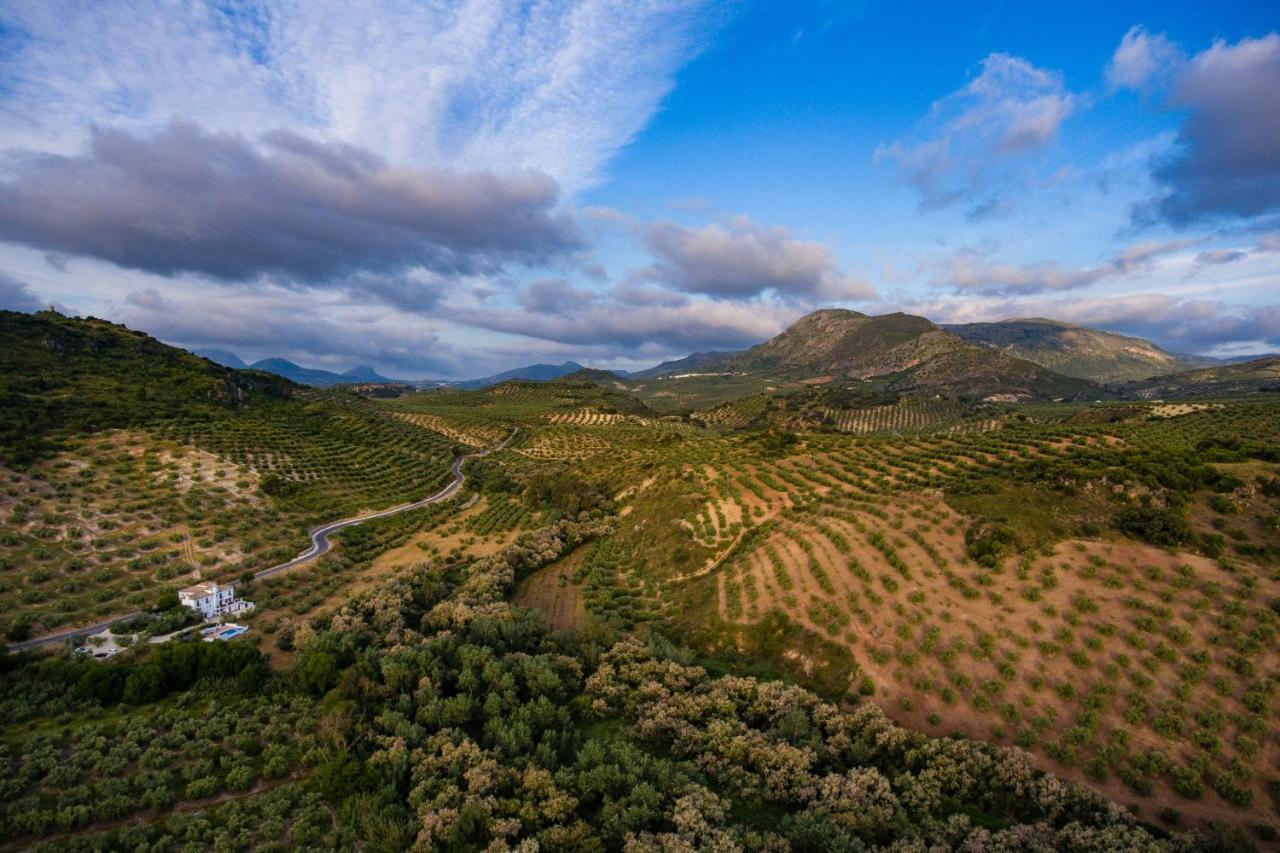 مبيت وإفطار بييغو ذي كورذوبا Casa Olea المظهر الخارجي الصورة