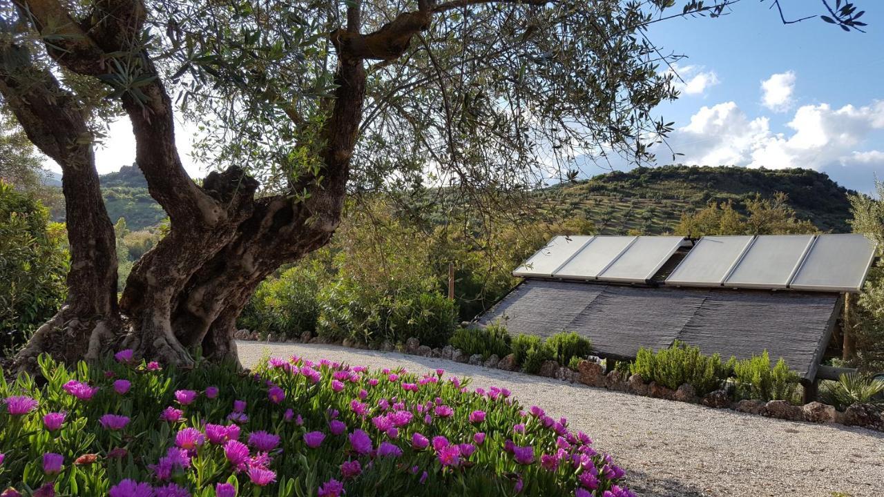 مبيت وإفطار بييغو ذي كورذوبا Casa Olea المظهر الخارجي الصورة