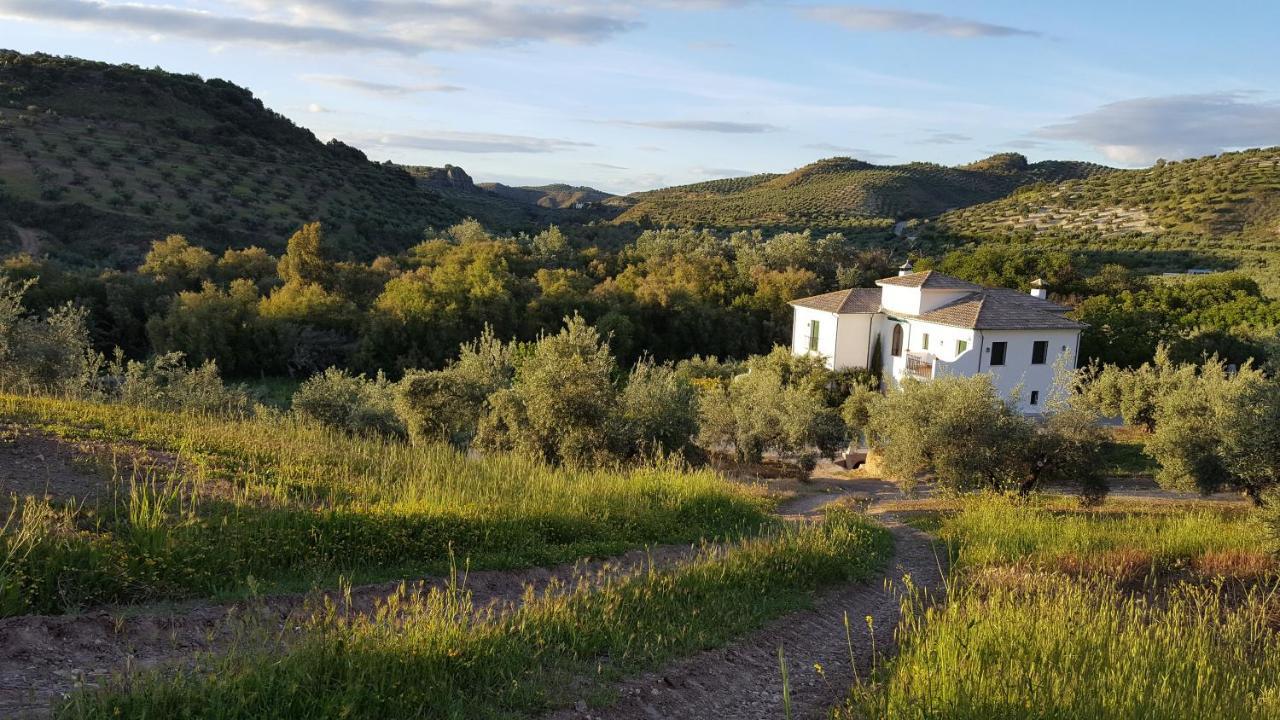 مبيت وإفطار بييغو ذي كورذوبا Casa Olea المظهر الخارجي الصورة