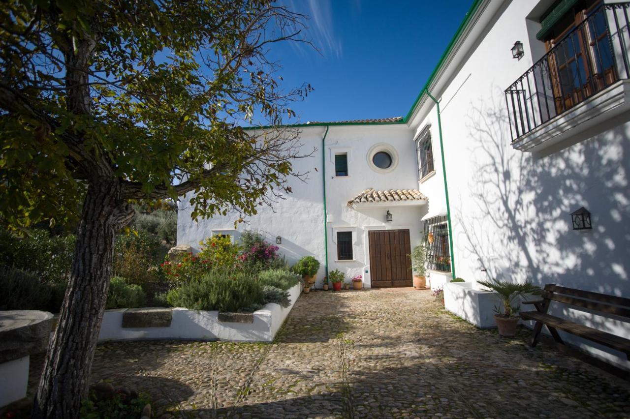 مبيت وإفطار بييغو ذي كورذوبا Casa Olea المظهر الخارجي الصورة