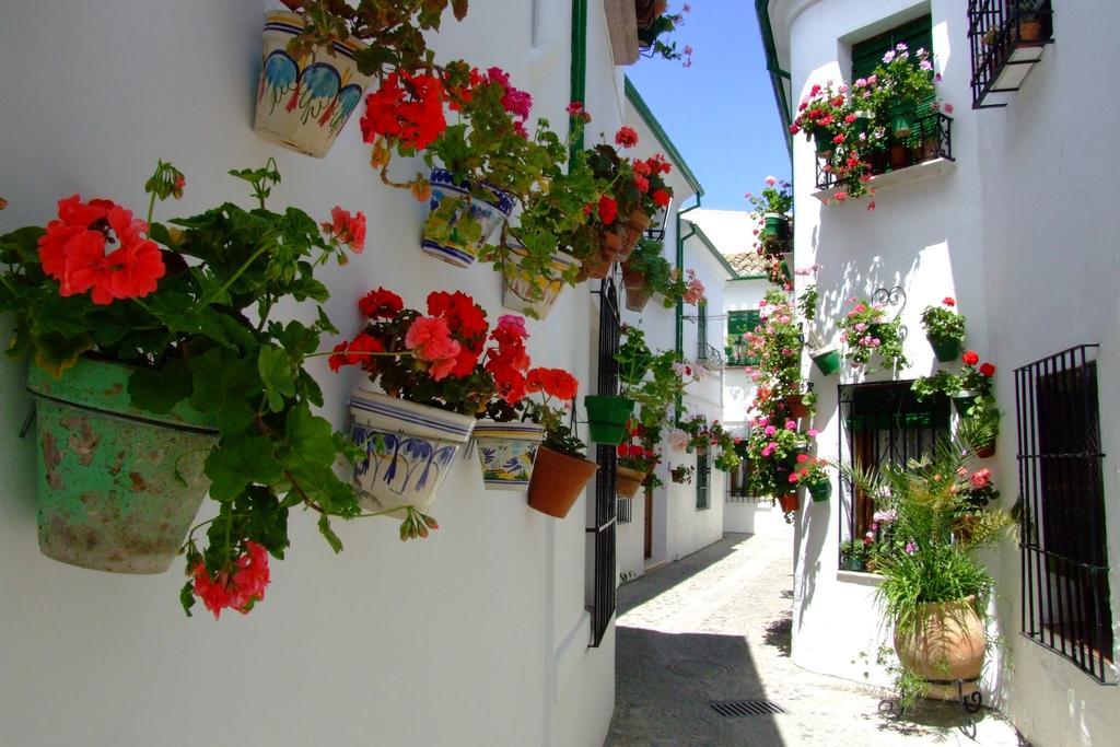 مبيت وإفطار بييغو ذي كورذوبا Casa Olea المظهر الخارجي الصورة
