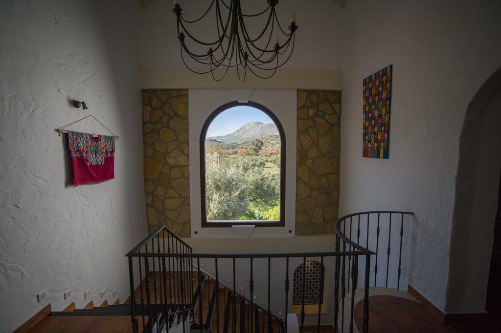 مبيت وإفطار بييغو ذي كورذوبا Casa Olea المظهر الخارجي الصورة