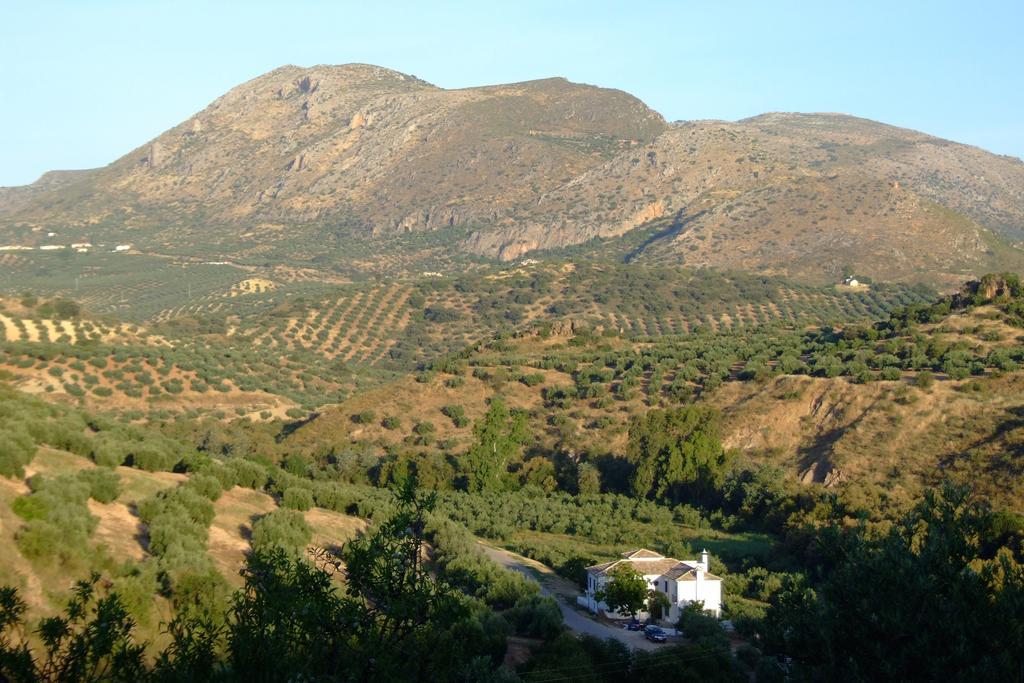 مبيت وإفطار بييغو ذي كورذوبا Casa Olea المظهر الخارجي الصورة