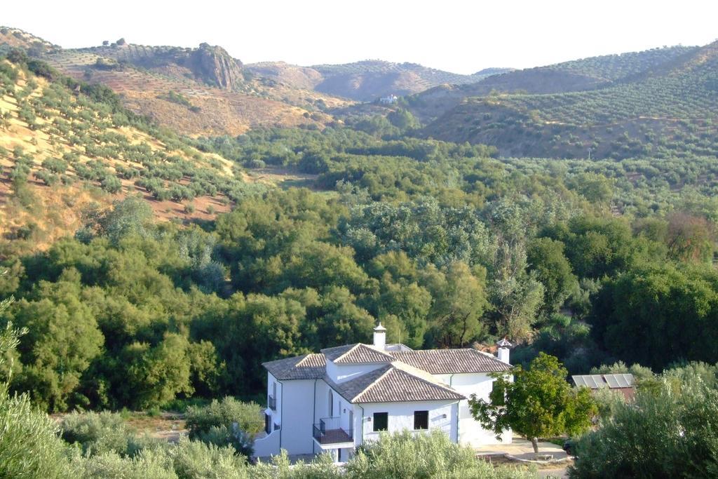 مبيت وإفطار بييغو ذي كورذوبا Casa Olea المظهر الخارجي الصورة